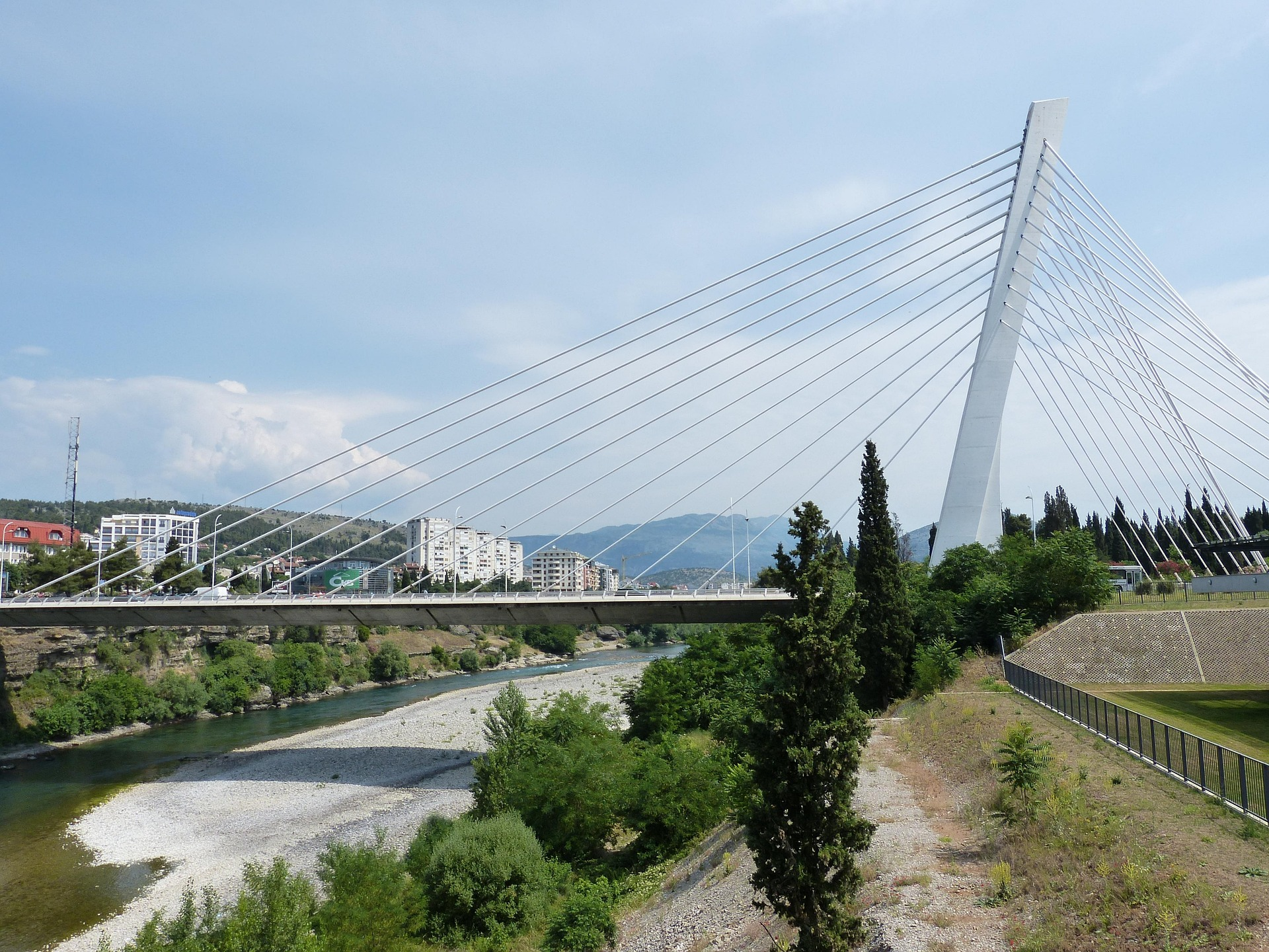 falco-podgorica-824440_1920